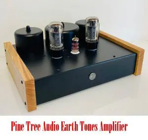 Pine Tree Audio Earth Tones Amplifier by John Hoffman Post Thumbnail
